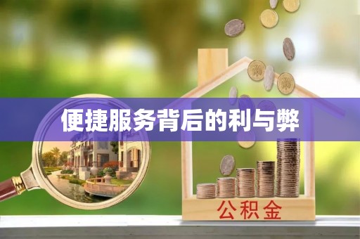宁乡便捷服务背后的利与弊