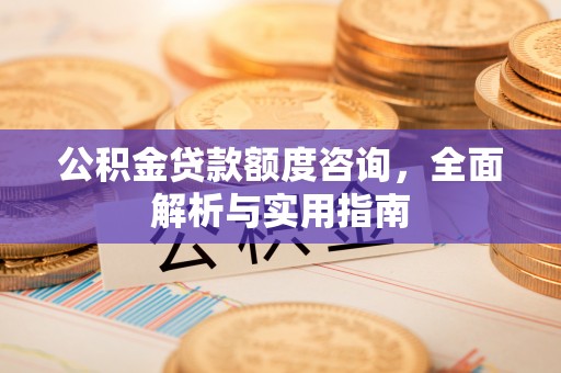 宁乡公积金贷款额度咨询，全面解析与实用指南