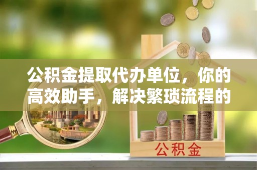 宁乡公积金提取代办单位，你的高效助手，解决繁琐流程的不二之选