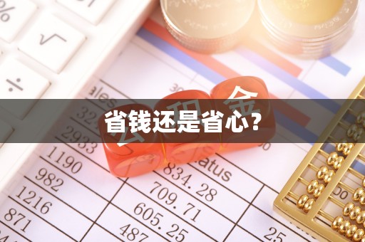 宁乡省钱还是省心？