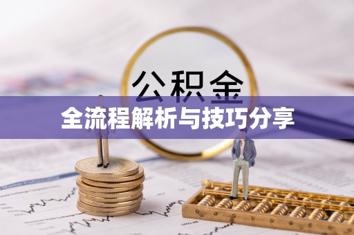 宁乡全流程解析与技巧分享