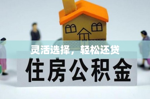 宁乡灵活选择，轻松还贷