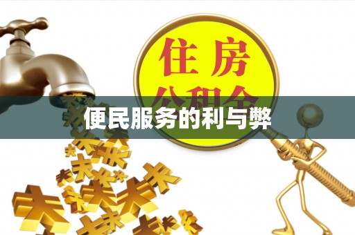 宁乡便民服务的利与弊