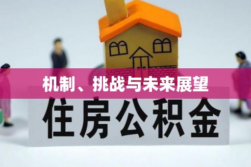 宁乡机制、挑战与未来展望